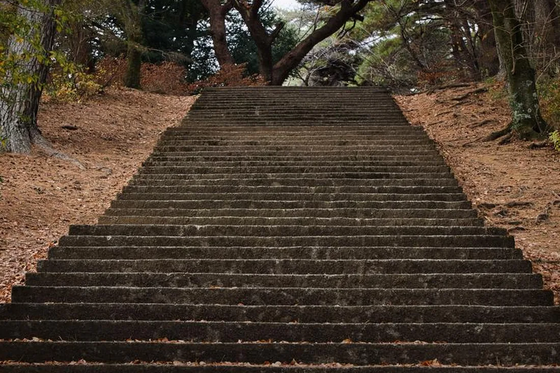杉林に囲まれた参道の石段に積もる落ち葉と苔